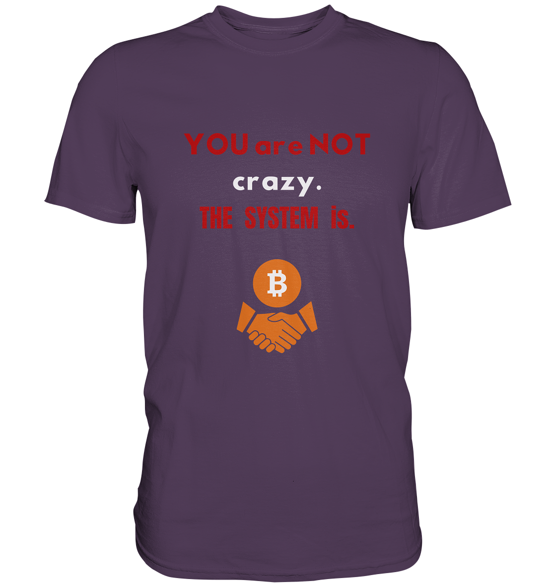 YOU are NOT crazy. THE SYSTEM is. - Premium Shirt
