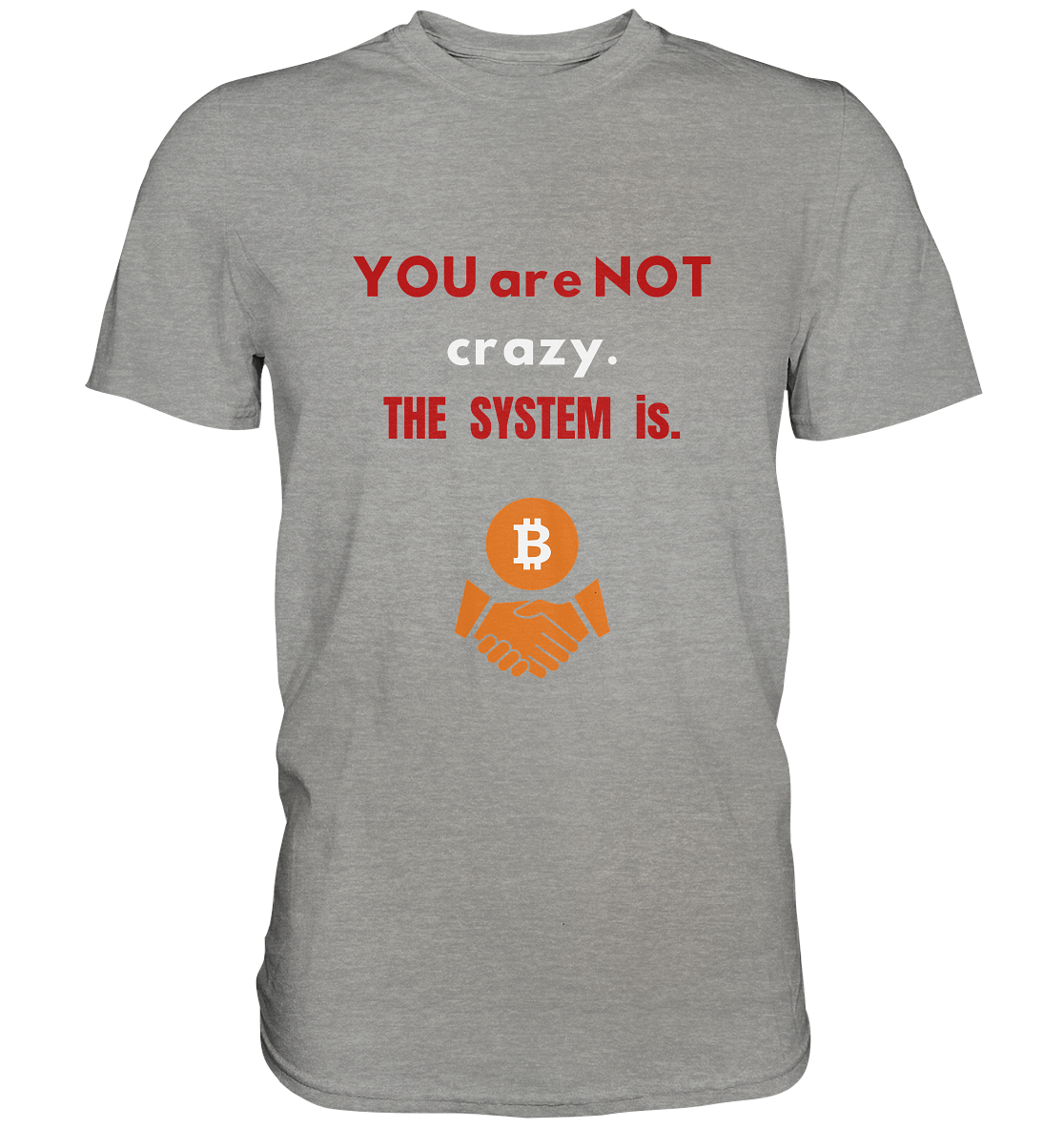 YOU are NOT crazy. THE SYSTEM is. - Premium Shirt