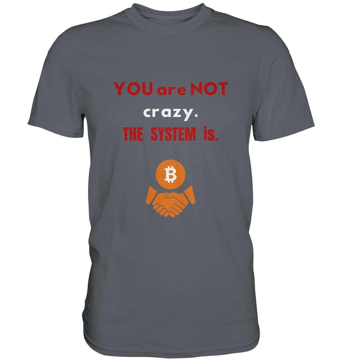 YOU are NOT crazy. THE SYSTEM is. - Classic Shirt