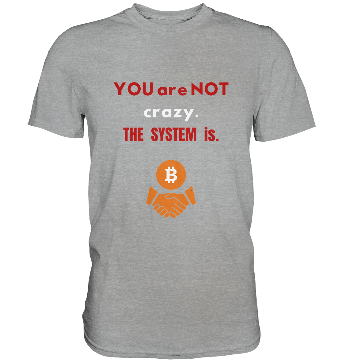 YOU are NOT crazy. THE SYSTEM is. - Classic Shirt