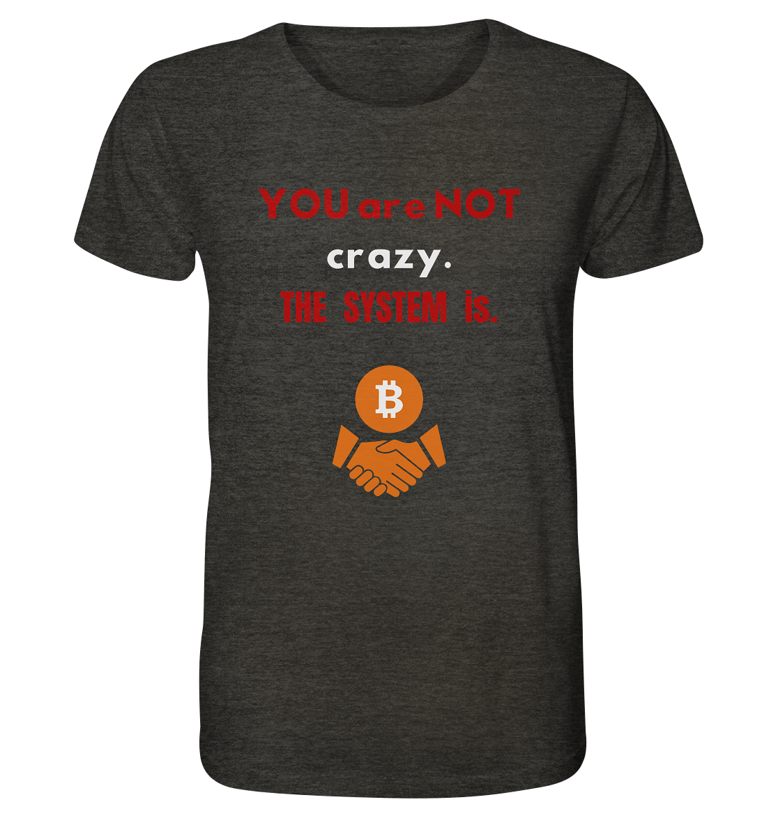 YOU are NOT crazy. THE SYSTEM is. - Organic Shirt (meliert)