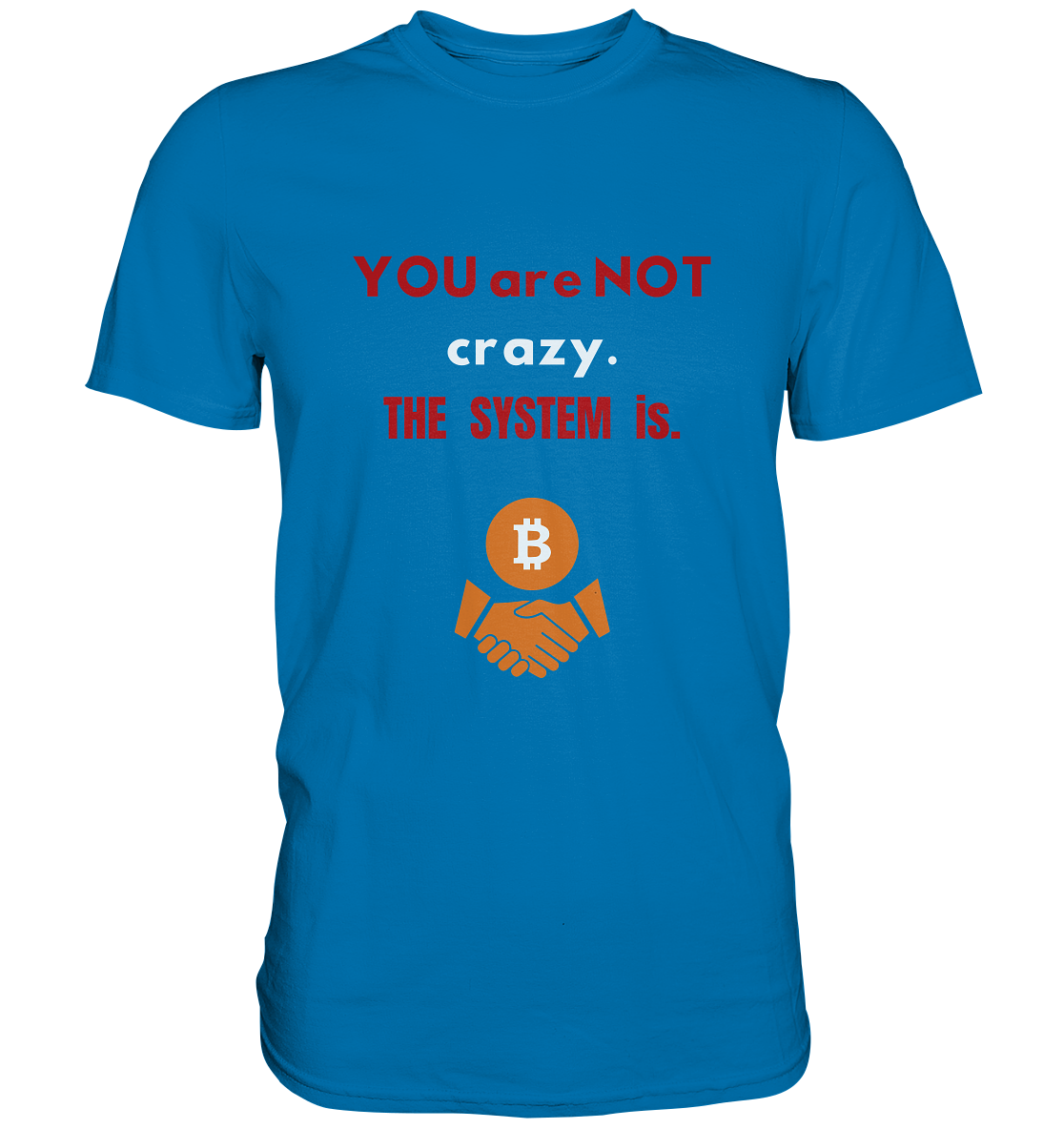 YOU are NOT crazy. THE SYSTEM is. - Premium Shirt